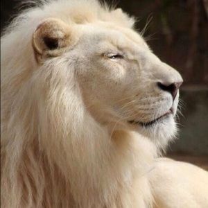 Meet your Posher, Angaleak